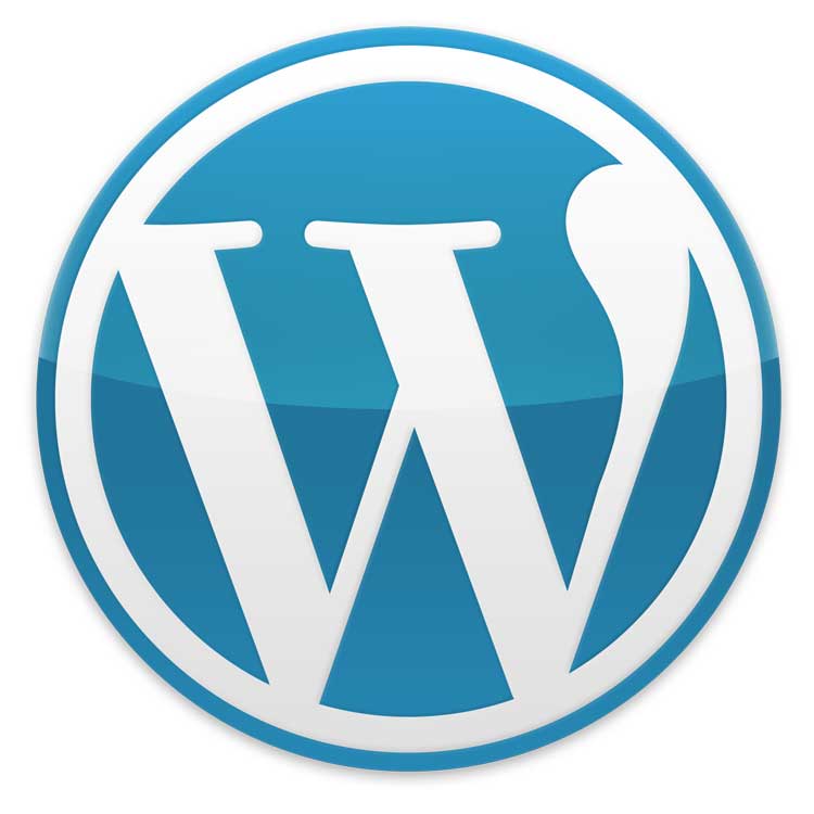 WordPress 2.9 – ein objektiver Rant